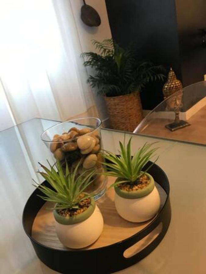 Nuevo Apartamento En Playa De Las Canteras Las Palmas de Gran Canaria Zewnętrze zdjęcie
